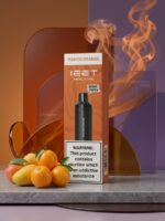 IEET 10k puff - Image 15